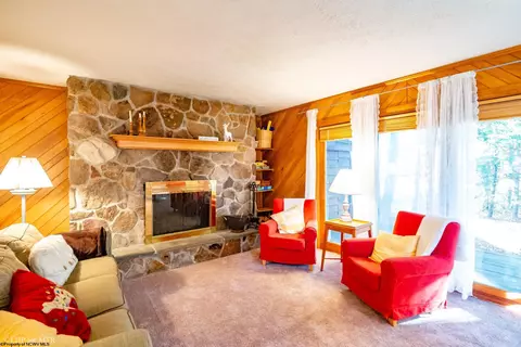 25- D2 Cedar Place Dr, Davis, WV 26260 photo 5