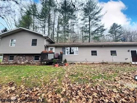 2334 Halls Run Rd, Bristol, WV 26426