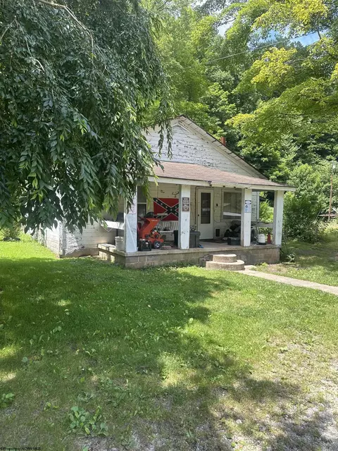68 Plum St, Bergoo, WV 26298