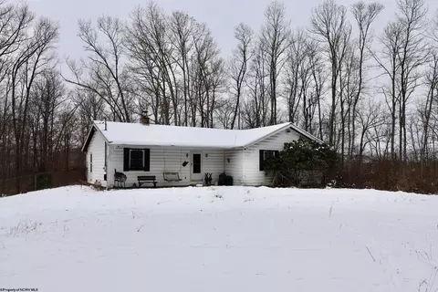 312 Good Dog Hl, Elkins, WV 26241