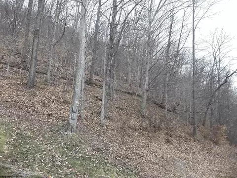 View/Area - 102 Hunter Rd, Beverly, WV 26253 photo 2 of 2
