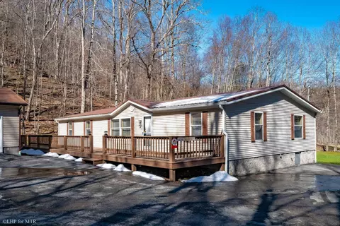 250 Snyder Mountain Rd, Harman, WV 26270