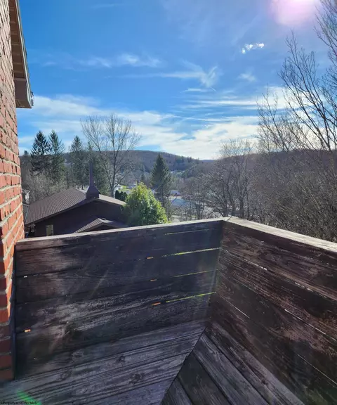 Exterior - 109 Brown St, Thomas, WV 26292 photo 9 of 10