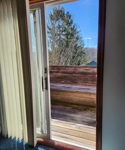 Exterior - 109 Brown St, Thomas, WV 26292 photo 8 of 10