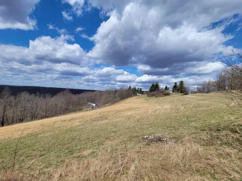 3929 Stemple Ridge Rd, Aurora, WV 26705 photo 20