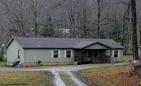 33 Beach Dr, Ellamore, WV 26267