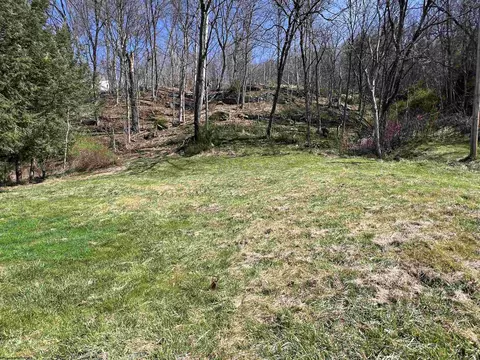 308 Hamilton St, Mannington, WV 26582 photo 4