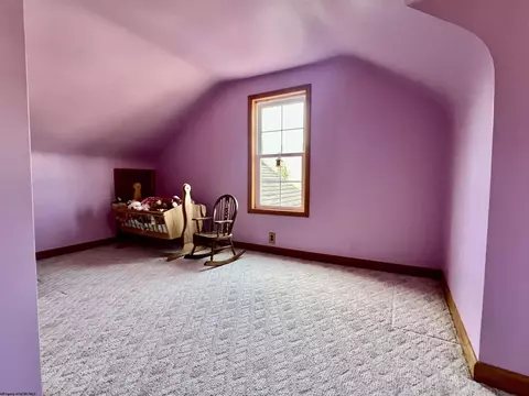308 Hamilton St, Mannington, WV 26582 photo 20