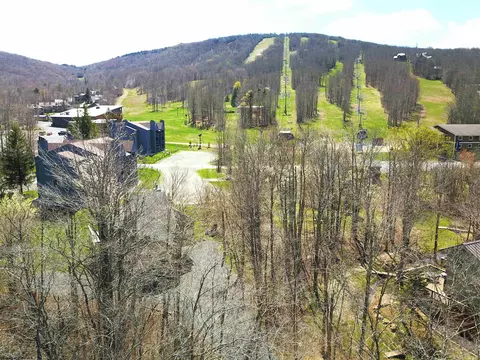 Other - 189 Yoakum Run Rd, Davis, WV 26260 photo 4 of 4