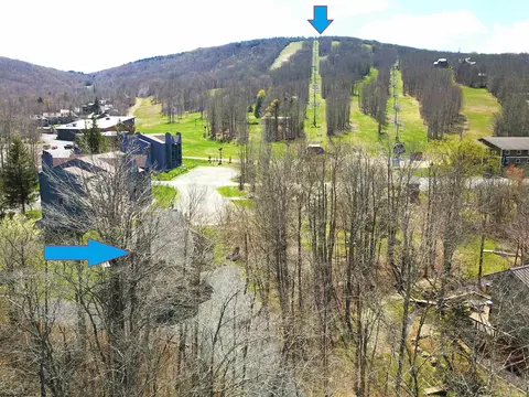 Other - 189 Yoakum Run Rd, Davis, WV 26260 photo 3 of 4