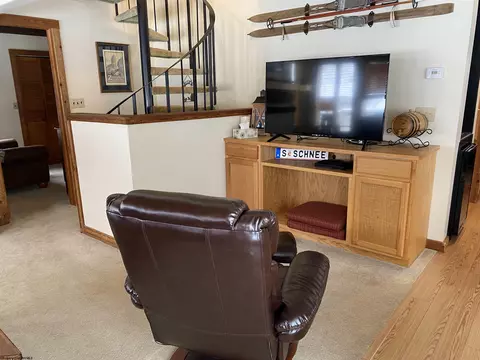 Living - 189 Yoakum Run Rd, Davis, WV 26260 photo 3 of 4