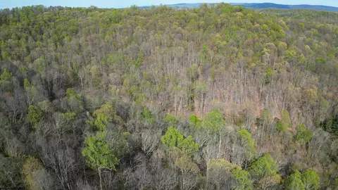 View/Area - 271 Boyce Rd, Thornton, WV 26440 photo 14 of 23