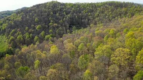 View/Area - 271 Boyce Rd, Thornton, WV 26440 photo 10 of 23