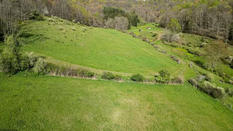 View/Area - 271 Boyce Rd, Thornton, WV 26440 photo 7 of 23