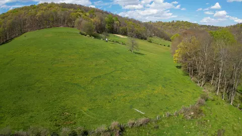 View/Area - 271 Boyce Rd, Thornton, WV 26440 photo 17 of 23