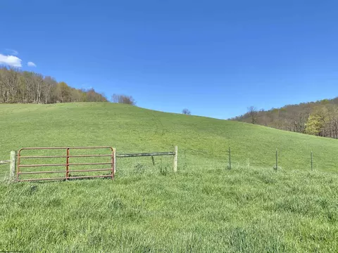 Exterior - 271 Boyce Rd, Thornton, WV 26440 photo 3 of 9