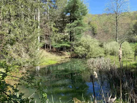 View/Area - 271 Boyce Rd, Thornton, WV 26440 photo 2 of 23