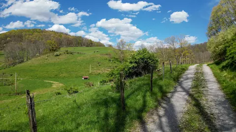 View/Area - 271 Boyce Rd, Thornton, WV 26440 photo 15 of 23