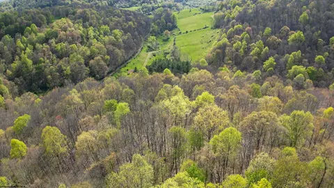 View/Area - 271 Boyce Rd, Thornton, WV 26440 photo 13 of 23