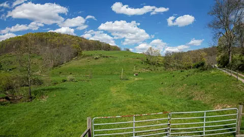 View/Area - 271 Boyce Rd, Thornton, WV 26440 photo 16 of 23