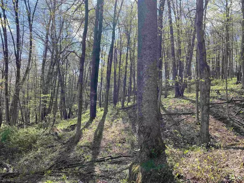 View/Area - 271 Boyce Rd, Thornton, WV 26440 photo 20 of 23