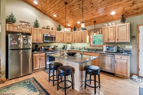 72 Thistle Ln, Davis, WV 26260 photo 5
