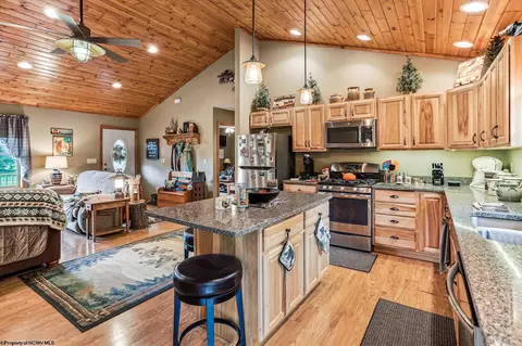 72 Thistle Ln, Davis, WV 26260 photo 8
