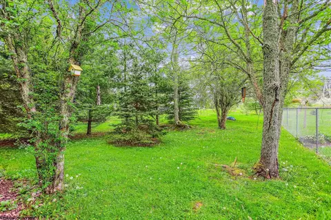 72 Thistle Ln, Davis, WV 26260 photo 22