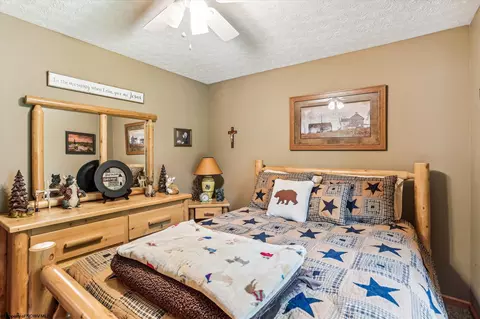 72 Thistle Ln, Davis, WV 26260 photo 13