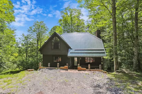 58 Steep Slope Run, Davis, WV 26260