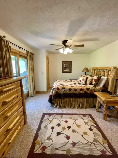 394 Slopeside Rd, Davis, WV 26260 photo 24