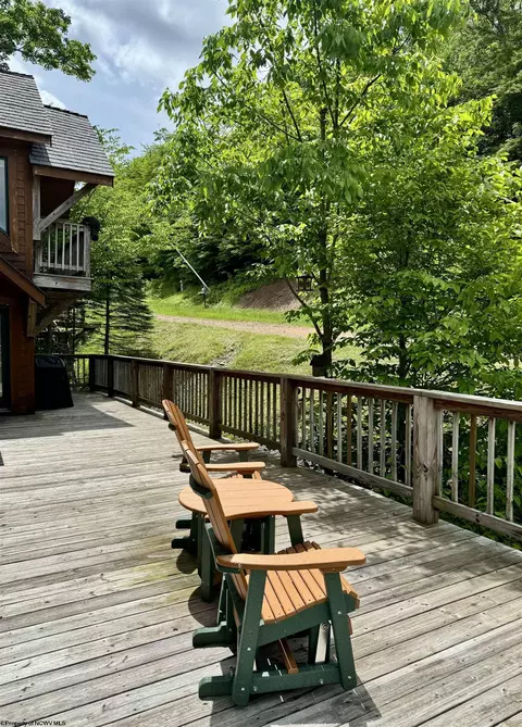 394 Slopeside Rd, Davis, WV 26260 photo 34
