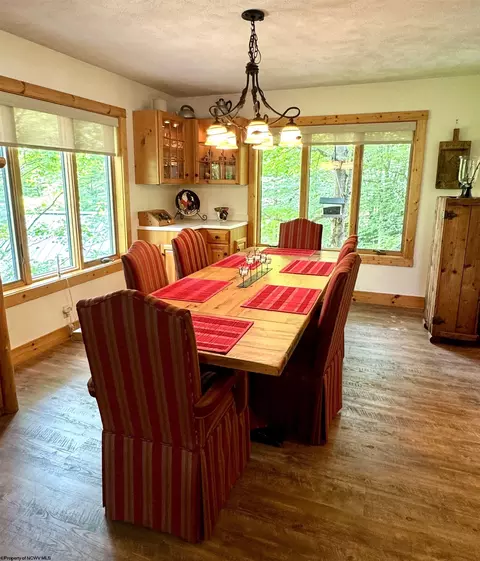 394 Slopeside Rd, Davis, WV 26260 photo 16
