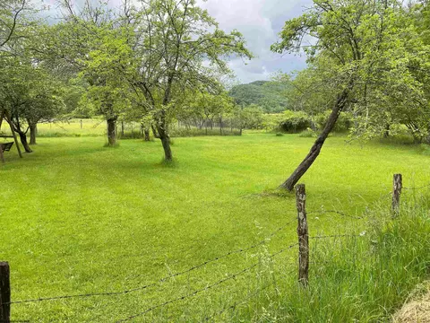 8705 Glady Fork Rd, Bowden, WV 26254 photo 15
