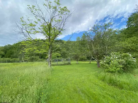 8705 Glady Fork Rd, Bowden, WV 26254 photo 16