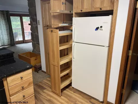 Kitchen - 22 Brookside Rd, Davis, WV 26260 photo 3 of 5