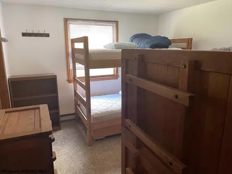 Bedroom - 22 Brookside Rd, Davis, WV 26260 photo 2 of 6