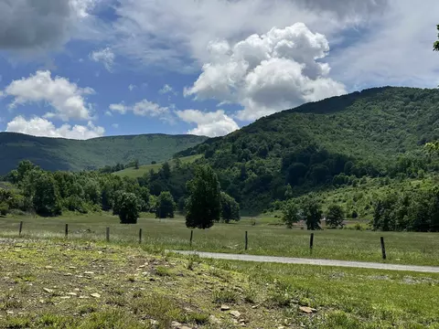 84 Long Acres Rd, Dryfork, WV 26263 photo 4