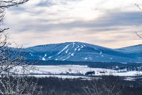 View/Area - 65 Snow Run Rd, Davis, WV 26260 photo 1 of 2