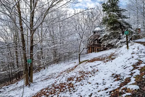 Exterior - 65 Snow Run Rd, Davis, WV 26260 photo 10 of 13