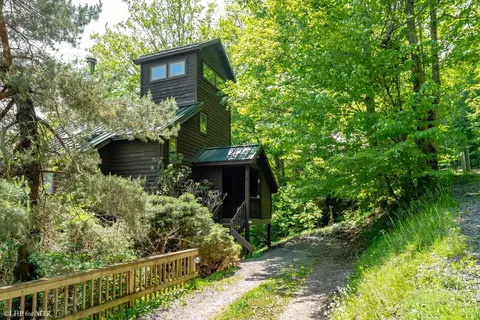 65 Snow Run Rd, Davis, WV 26260