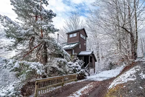 Exterior - 65 Snow Run Rd, Davis, WV 26260 photo 11 of 13
