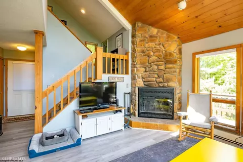 Living - 65 Snow Run Rd, Davis, WV 26260 photo 1 of 4