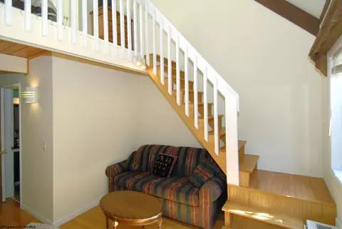Living - 22 Pendletonheim Cir UNIT 1 PENDLETONHEIM CONDOMINIUM, Davis, WV 26260 photo 1 of 1