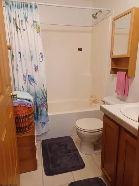 16320 Dryfork Rd, Dryfork, WV 26263 photo 16