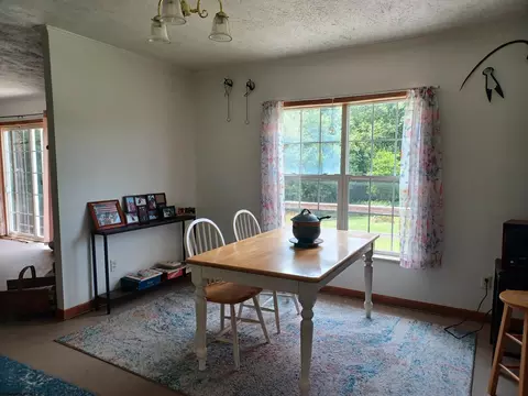 16320 Dryfork Rd, Dryfork, WV 26263 photo 14
