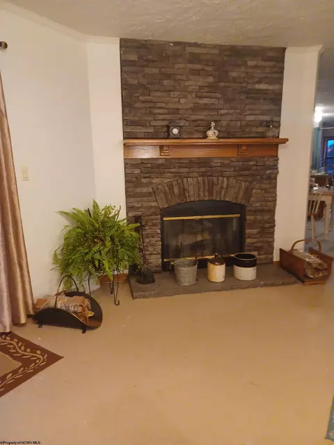 16320 Dryfork Rd, Dryfork, WV 26263 photo 6