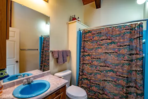 160 Mountainside Rd, Davis, WV 26260 photo 26