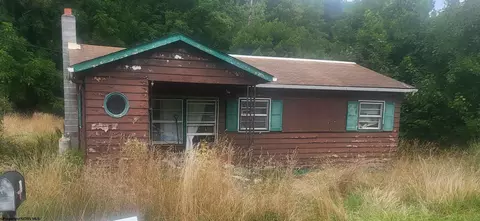 162 Stony Creek Dr, Marlinton, WV 24954