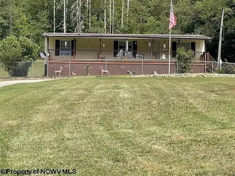 4391 Webster Pike, Grafton, WV 26354